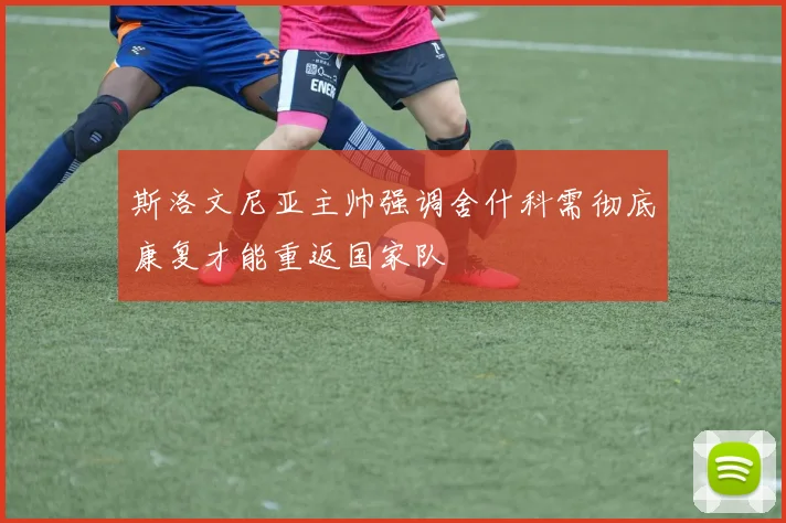 斯洛文尼亚主帅强调舍什科需彻底康复才能重返国家队