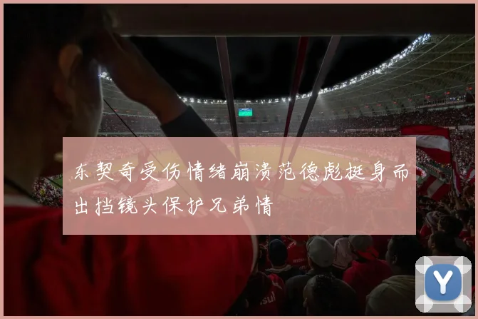 东契奇受伤情绪崩溃范德彪挺身而出挡镜头保护兄弟情
