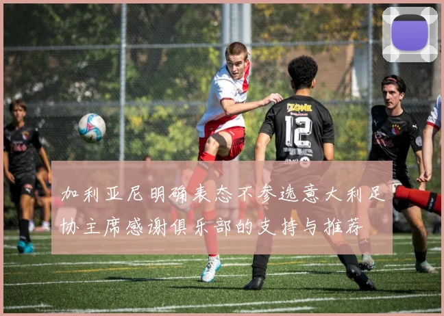 加利亚尼明确表态不参选意大利足协主席感谢俱乐部的支持与推荐